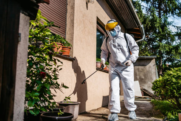 Best Best Pest Control Companies  in Celebration, FL